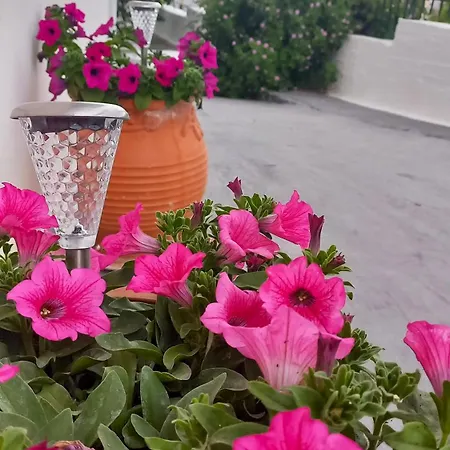 Triζin Apartamento *